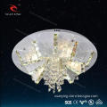 Attractive Ceiling lamps Crystal lighting with LED 48W